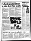 Gorey Guardian Thursday 02 June 1994 Page 65