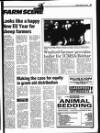Gorey Guardian Thursday 15 December 1994 Page 49