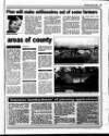 Gorey Guardian Wednesday 31 January 2001 Page 33