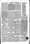 Wexford People Saturday 30 July 1853 Page 5