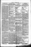 Wexford People Saturday 10 December 1853 Page 3