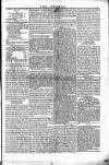Wexford People Saturday 17 December 1853 Page 5