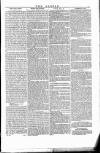 Wexford People Saturday 29 July 1854 Page 5