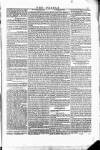 Wexford People Saturday 04 November 1854 Page 5