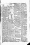 Wexford People Saturday 24 February 1855 Page 7