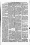 Wexford People Saturday 26 May 1855 Page 3