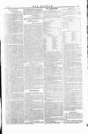 Wexford People Saturday 23 June 1855 Page 7
