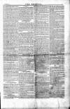 Wexford People Saturday 19 January 1856 Page 5