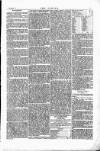 Wexford People Saturday 01 November 1856 Page 7