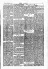 Wexford People Saturday 19 November 1859 Page 3