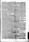 Wexford People Saturday 09 November 1861 Page 5