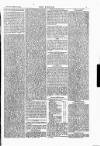 Wexford People Saturday 23 February 1867 Page 5