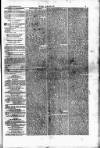 Wexford People Saturday 28 November 1868 Page 3