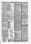 Wexford People Saturday 29 January 1870 Page 5