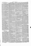 Wexford People Saturday 04 March 1871 Page 5