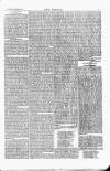 Wexford People Saturday 09 November 1872 Page 7