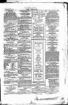 Wexford People Saturday 17 January 1874 Page 3