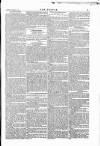 Wexford People Saturday 30 January 1875 Page 5