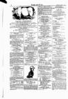 Wexford People Saturday 13 January 1877 Page 2