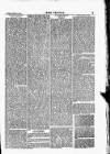 Wexford People Saturday 17 February 1877 Page 3