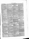 Wexford People Saturday 17 November 1877 Page 7