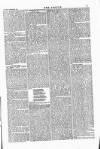 Wexford People Saturday 26 October 1878 Page 7