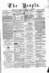 Wexford People Saturday 16 November 1878 Page 1