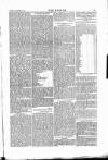 Wexford People Saturday 15 November 1879 Page 5