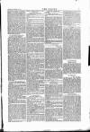 Wexford People Saturday 15 November 1879 Page 7