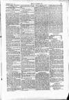 Wexford People Wednesday 16 June 1880 Page 5