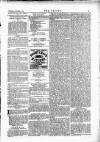 Wexford People Wednesday 01 September 1880 Page 3