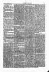 Wexford People Saturday 18 September 1880 Page 7