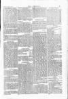 Wexford People Saturday 22 January 1881 Page 5