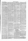 Wexford People Saturday 03 December 1881 Page 5