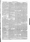 Wexford People Wednesday 10 January 1883 Page 3