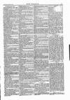 Wexford People Saturday 27 October 1883 Page 5
