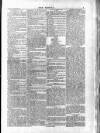 Wexford People Saturday 19 January 1884 Page 5