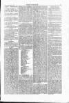 Wexford People Wednesday 30 January 1884 Page 5