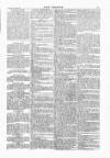Wexford People Saturday 28 June 1884 Page 5