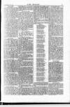 Wexford People Wednesday 16 July 1884 Page 7