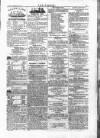 Wexford People Saturday 20 September 1884 Page 3