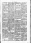 Wexford People Saturday 20 September 1884 Page 5