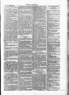 Wexford People Saturday 20 September 1884 Page 7