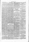 Wexford People Wednesday 01 October 1884 Page 5