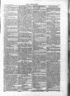 Wexford People Saturday 18 October 1884 Page 7