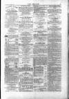 Wexford People Saturday 01 November 1884 Page 3