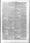 Wexford People Saturday 01 November 1884 Page 5