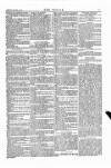 Wexford People Saturday 17 January 1885 Page 7