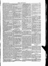 Wexford People Saturday 24 January 1885 Page 5