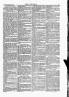 Wexford People Saturday 14 February 1885 Page 7